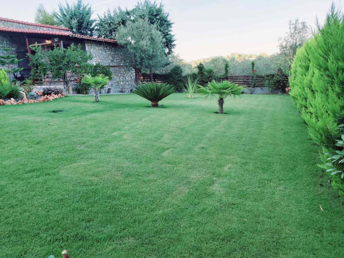 Dimitris' Villas - Villa 3 Órmosz Panajász Kültér fotó